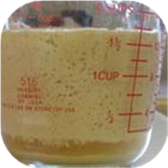 No Commercial Yeast Starter