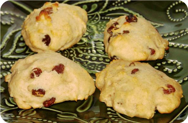 Yummy Raisin Bites