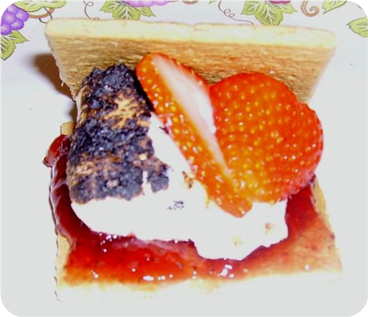 Strawberry S'mores