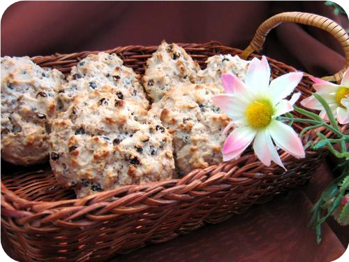 Lite Oatmeal Scones