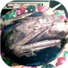 Spicy Roast Goose with Apple Stuffing