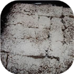Noel Bars