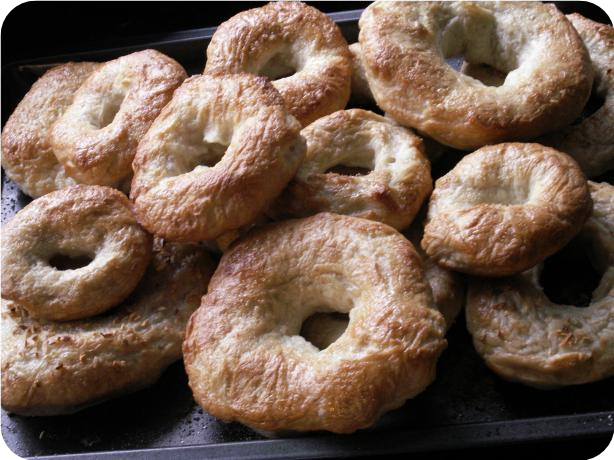 Plain Bagels