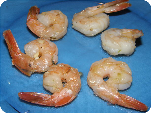 Shrimp