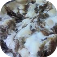 Marshmallow Brownies
