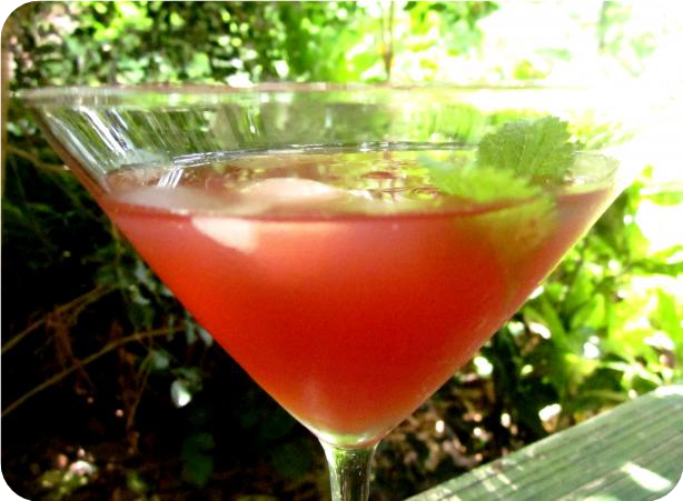 Purple Margarita