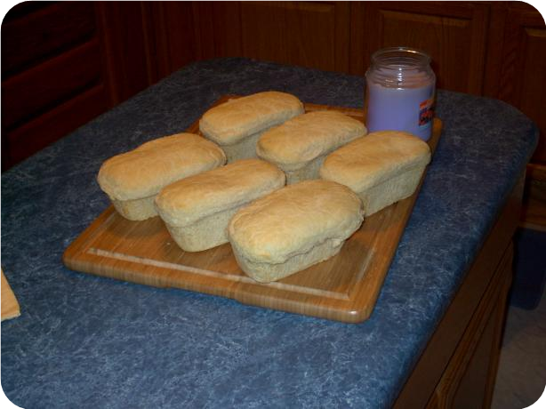 Dj's "true" Salt Rising Bread