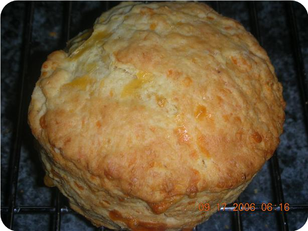 Golden Cheddar Cheese Scones