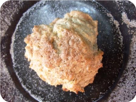 Cinnamon Biscuits