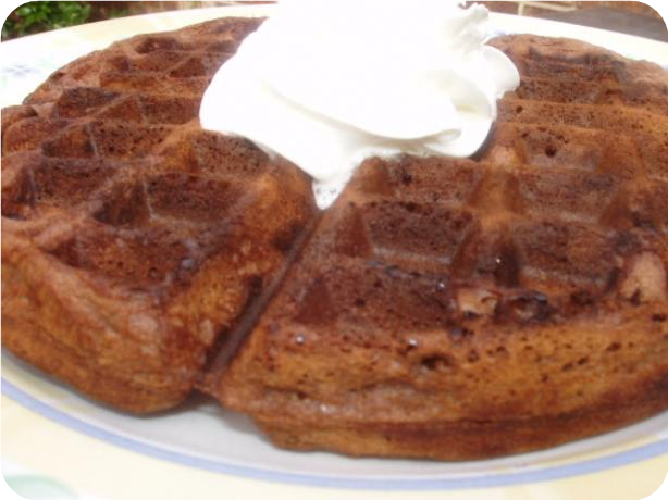 Good Eats Chocolate Chip Waffles (Alton Brown)