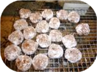 Christmas Pfeffernusse Cookies