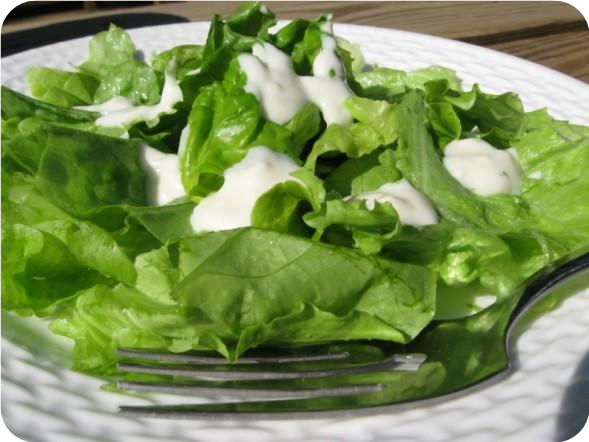 Bikini-Ready, Light Creamy Parmesan Dressing