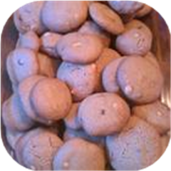 ABC (Absolute Best Chewy) Chocolate Chippers