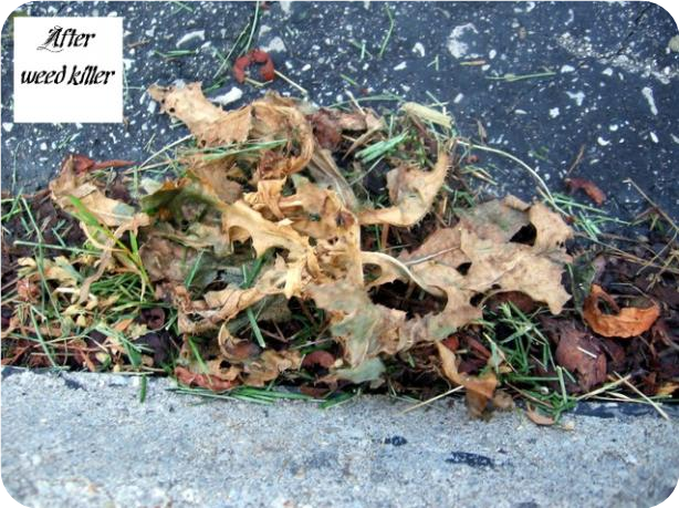 Easy Weed Killer