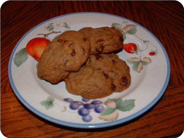 Alton Brown's Chewy Cookies