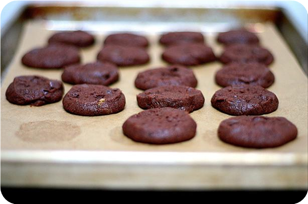 Cocoa Powder Cookies.