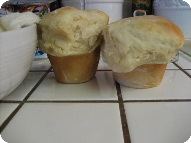 Amish Potato Rolls