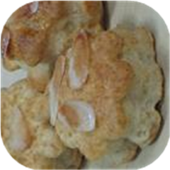 Homemade Biscuit Mix