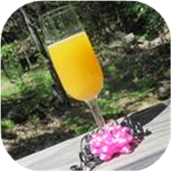 Mimosa