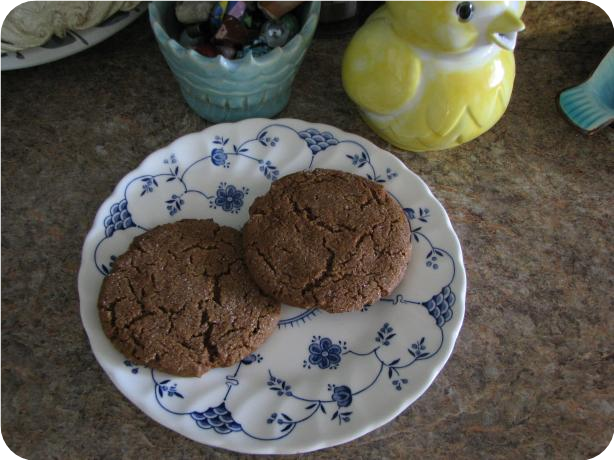Ginger Snaps