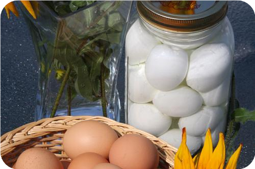 Pickled Eggs