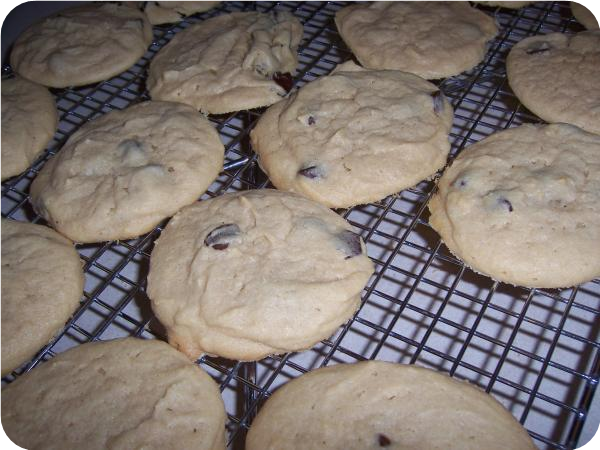 Peanut Butter Chocolate Chip Cookies