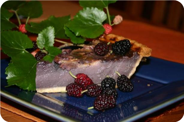 Mulberry Cream Pie
