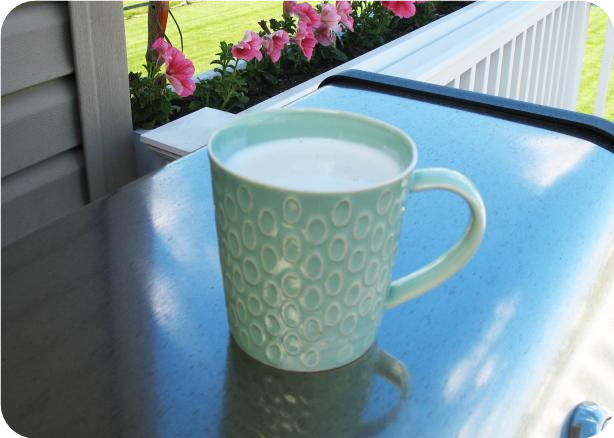 Hot Vanilla Milk