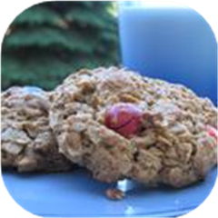 Monster Cookies I