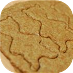 Whole Wheat Cut Out Cookies