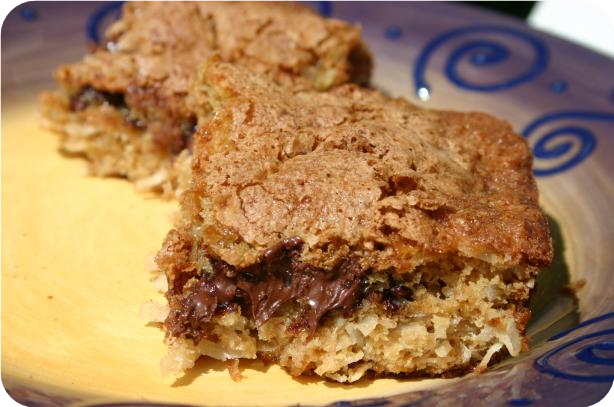 Chocolate Chip Coconut Bar