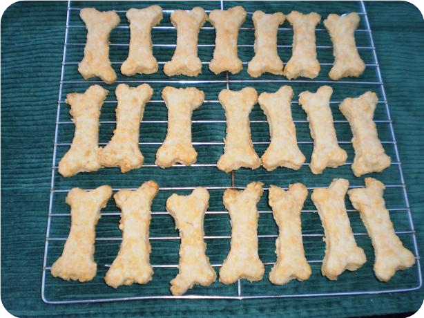 Cheesy Bone Cookies for Your Favorite Pooch!