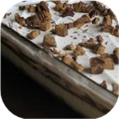 Chocolate Pecan Delite