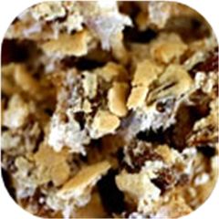 Frosted Pecan Bites