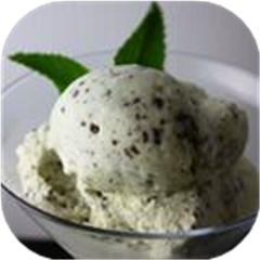 Easy Mint Chocolate Chip Ice Cream