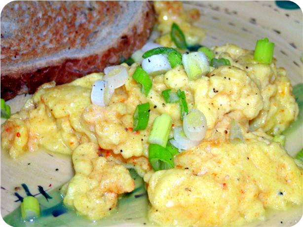 Fat-free Homemade Egg Substitute