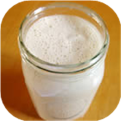 Sourdough Starter