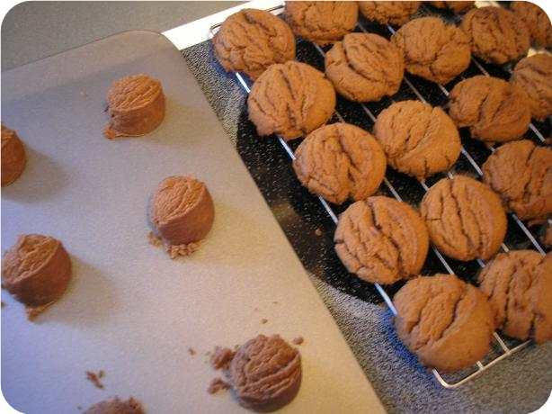 Chocolate Peanut Butter Cookies