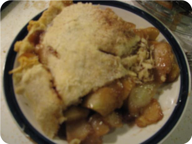 Mom's Souper Easy Pie Pastry