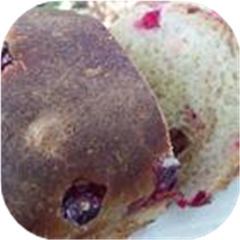 Cranberry Orange Breakfast Bread