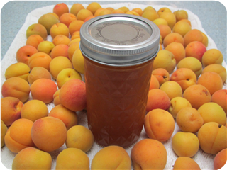 Apricot Jam