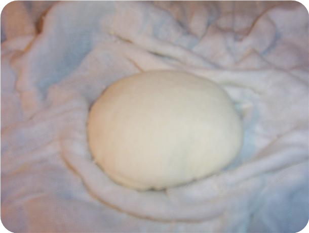 Non-Fat Paneer