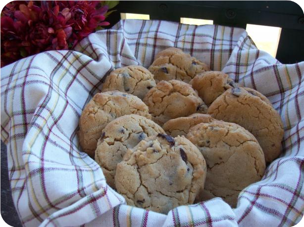 Chocolate Chip Peanut Butter Cookies