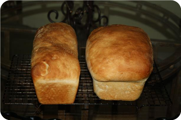 Classic White Bread