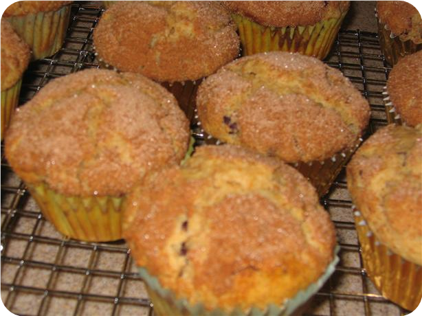 Easy Cinnamon Topped Raisin Bran Muffins