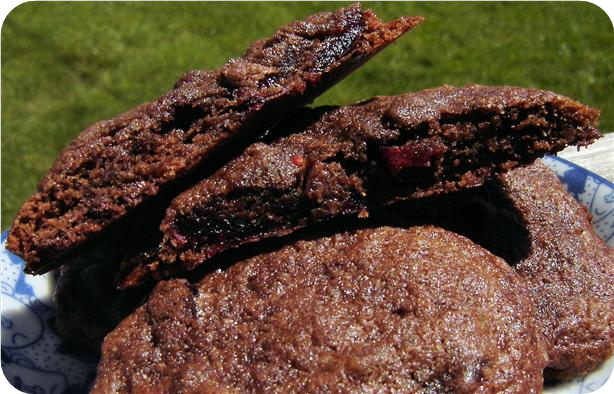 Cranberry Chocolate Cookies