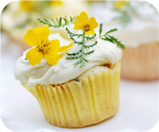 Flower-power mini cupcakes 
