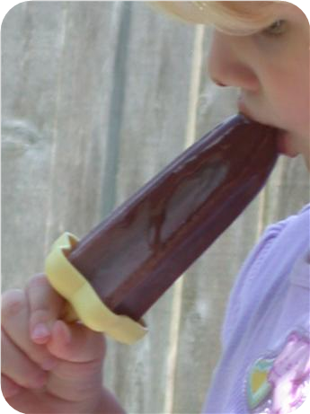 Chocolate Frozen Fudge Pops