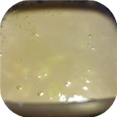 Cheesecake Dip