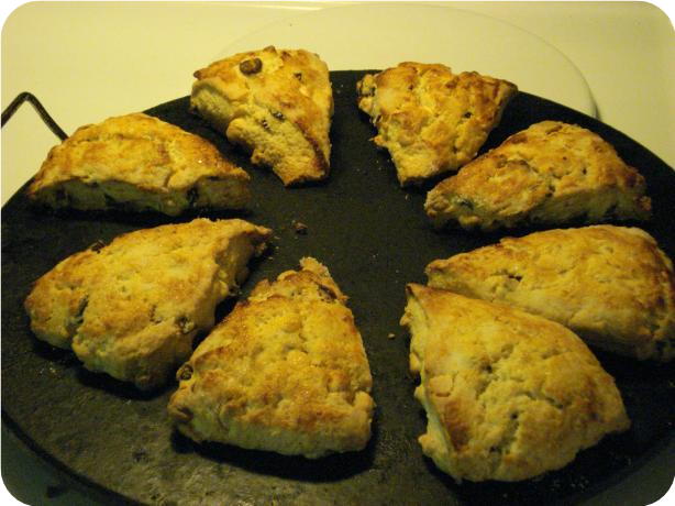 White Chocolate Craisin Scones